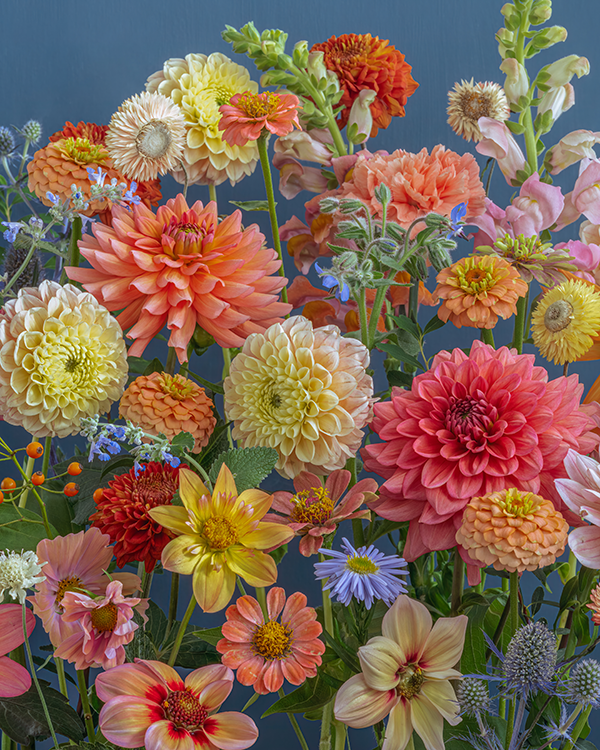 Delicate yellow and strong orange