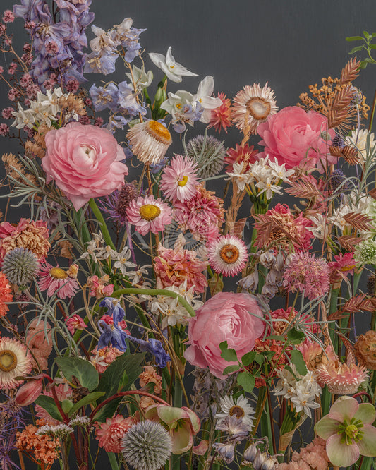 Dried and fresh flowers in a flower fine art photography print by Katrin Engler