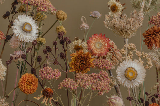 Working with dried flowers