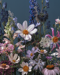 A dahlia outshines everything