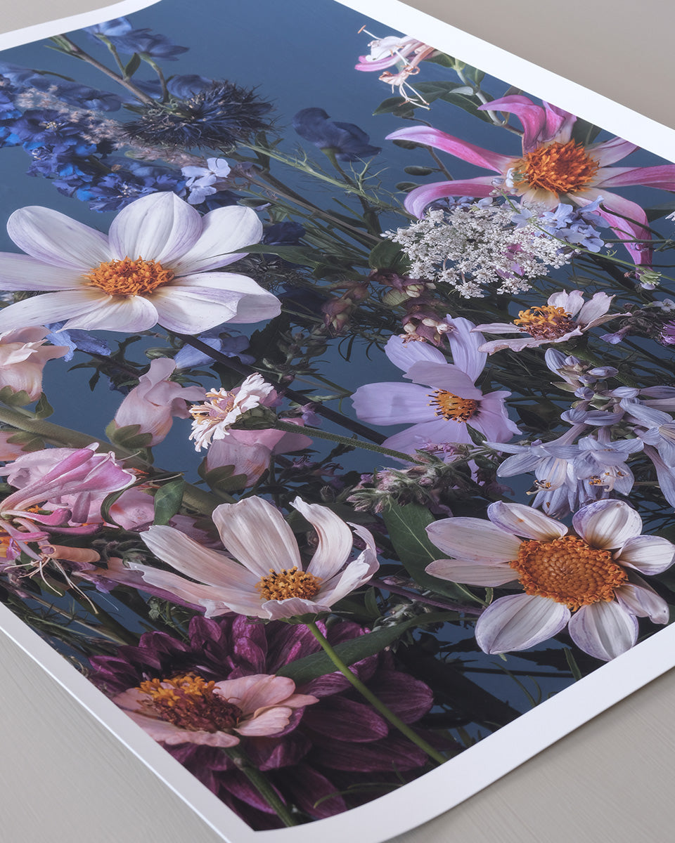 A dahlia outshines everything