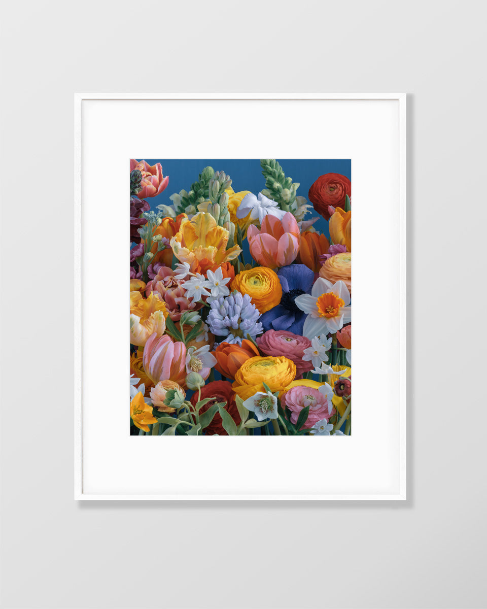 Flower fine art photography print by Katrin Engler with vibrant, bold spring flowers.