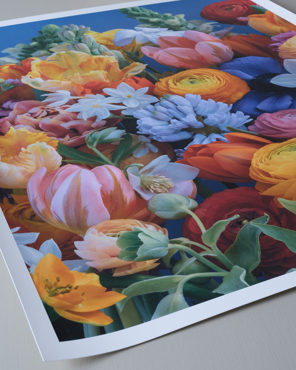 Colourful spring - vibrant spring flowers in bold colours, flower fine art print by Katrin Engler