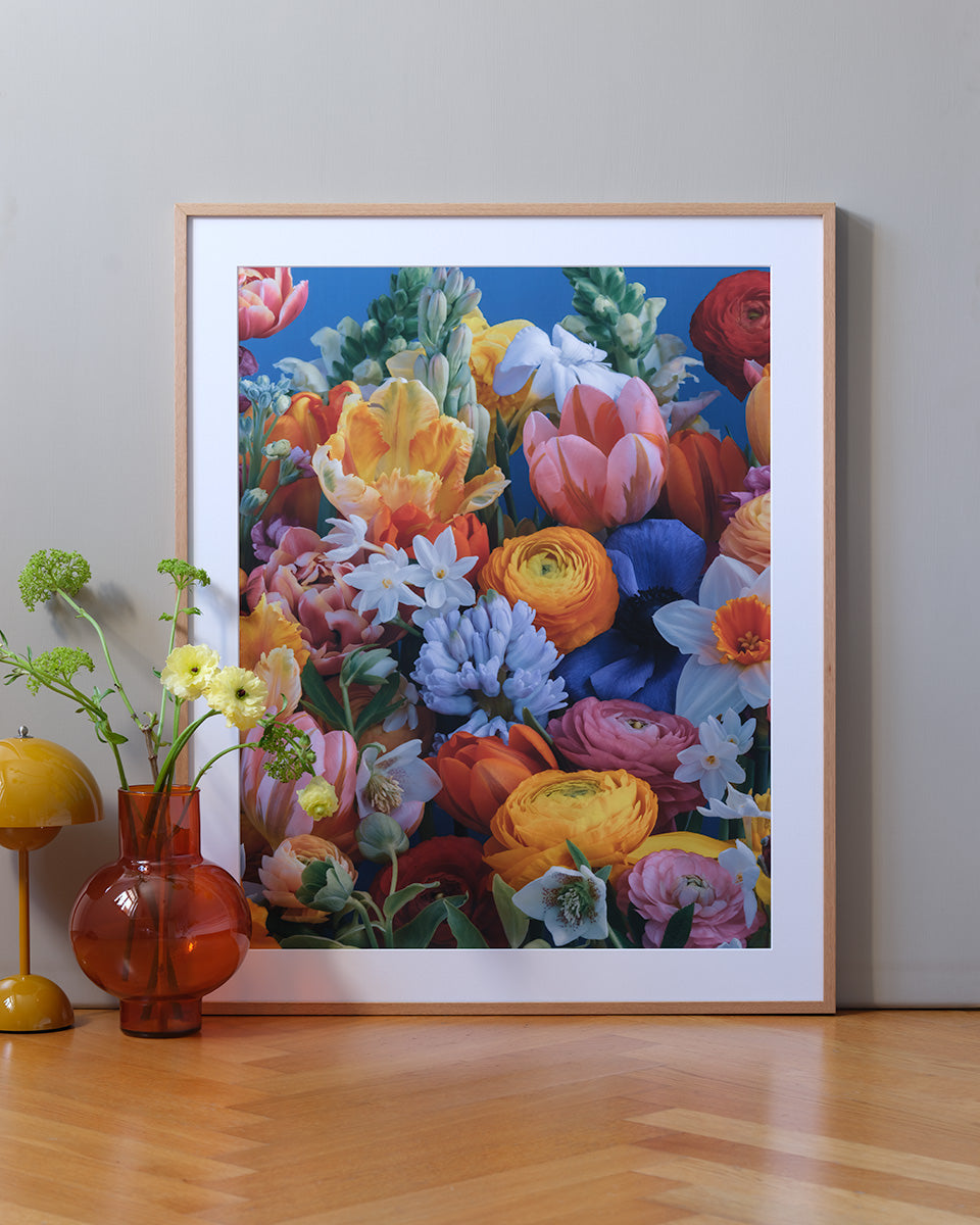 Colourful spring - vibrant spring flowers in bold colors, flower fine art photography by Katrin Engler