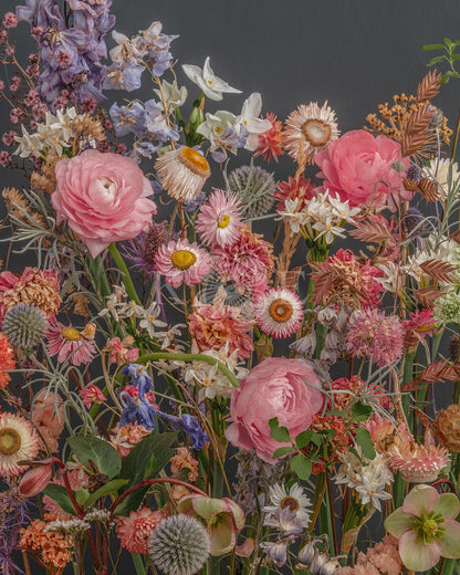 Dried and fresh flowers in a flower fine art photography print by Katrin Engler
