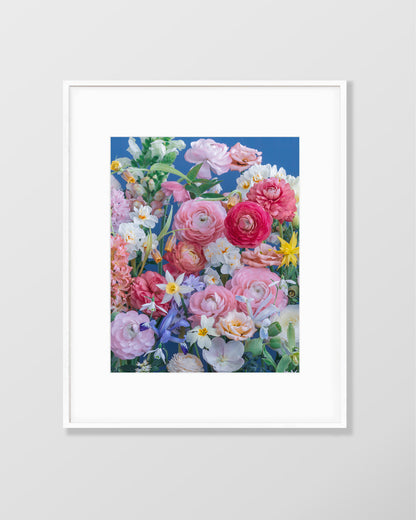 Flower fine art photography print  by Katrin Engler with vibrant, bold spring flowers.