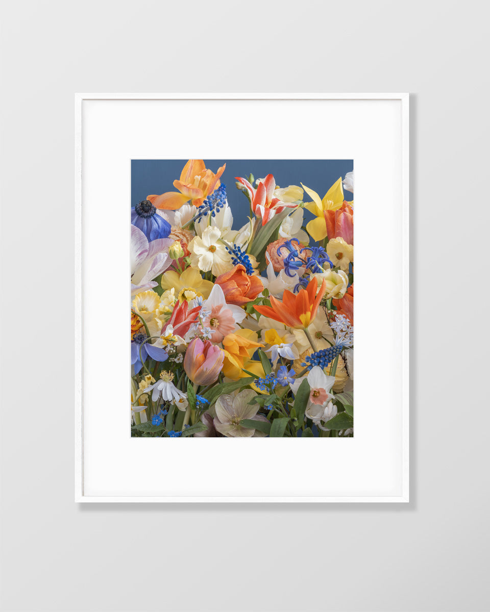Flower fine art photography print by Katrin Engler with vibrant spring flowers.