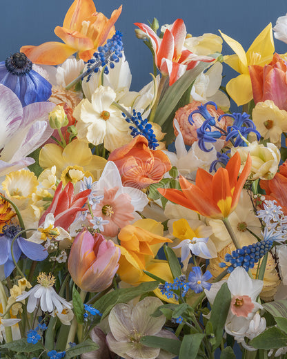 Happy flowers - Colorful spring flowers in a flower fine art photography print by Katrin Engler