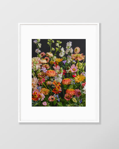Flower fine art photography print by Katrin Engler with vibrant, bold autumn flowers.