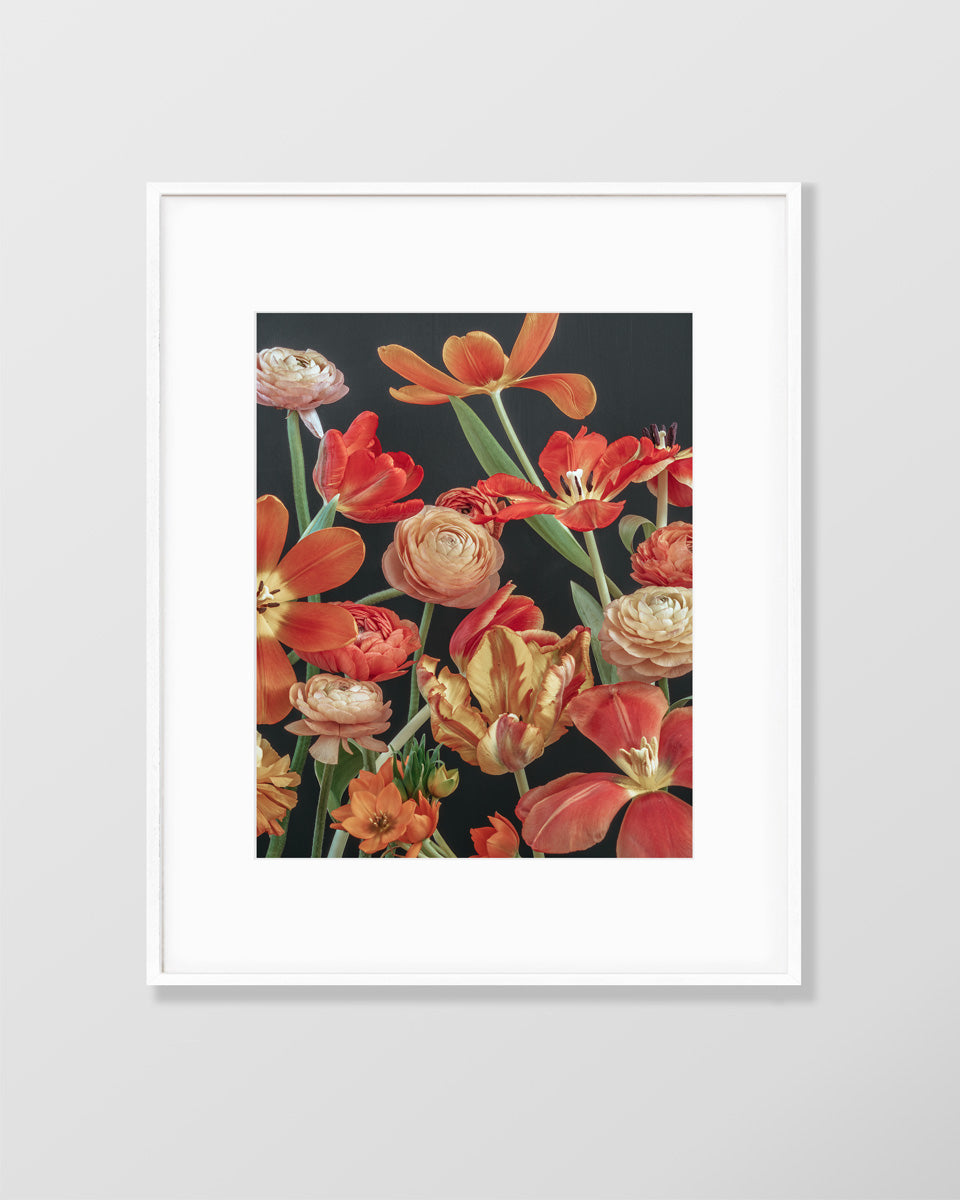 Flower fine art photography print by Katrin Engler with tulips and ranunculus.